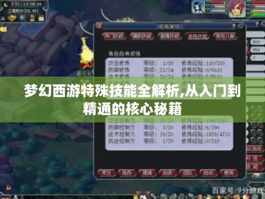 梦幻西游特殊技能全解析,从入门到精通的核心秘籍