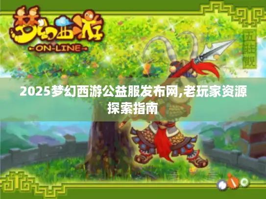 2025梦幻西游公益服发布网,老玩家资源探索指南