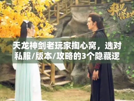 天龙神剑老玩家掏心窝，选对私服/版本/攻略的3个隐藏逻辑，少走1年弯路