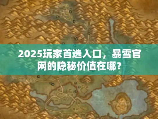 2025玩家首选入口，暴雪官网的隐秘价值在哪？