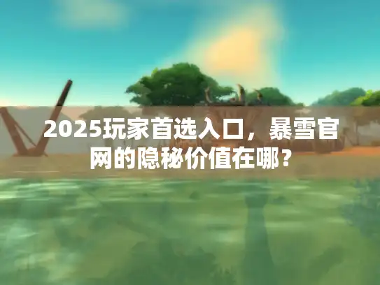 2025玩家首选入口，暴雪官网的隐秘价值在哪？