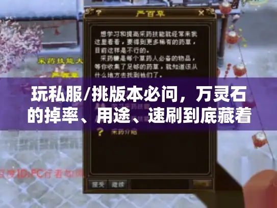 玩私服/挑版本必问，万灵石的掉率、用途、速刷到底藏着多少坑？