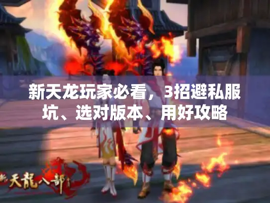 新天龙玩家必看,3招避私服坑、选对版本、用好攻略 新天龙玩家必看,3招避私服坑、选对版本、用好攻略