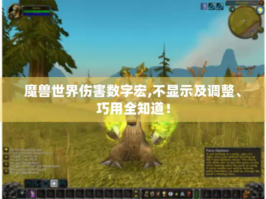 魔兽世界伤害数字宏,不显示及调整、巧用全知道！