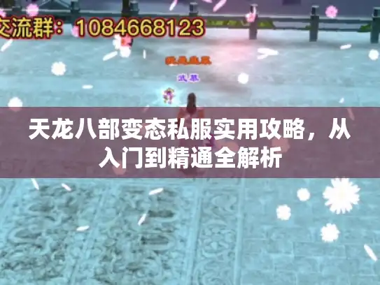 天龙八部变态私服实用攻略，从入门到精通全解析