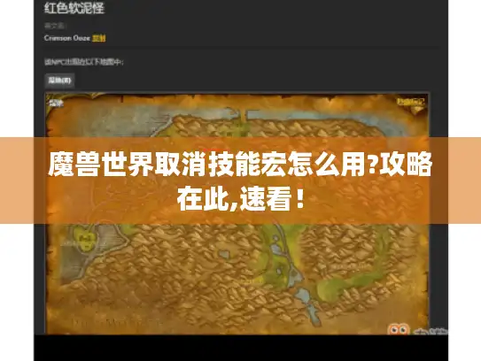 魔兽世界取消技能宏怎么用?攻略在此,速看！