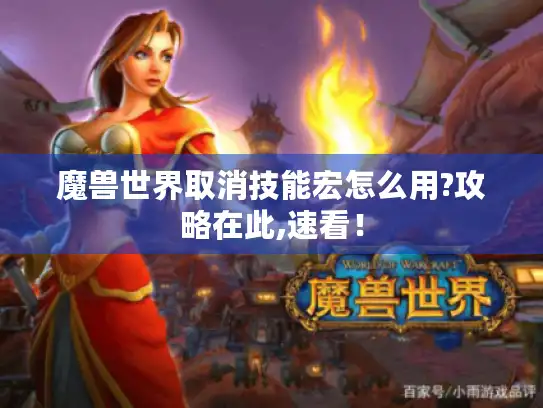 魔兽世界取消技能宏怎么用?攻略在此,速看！