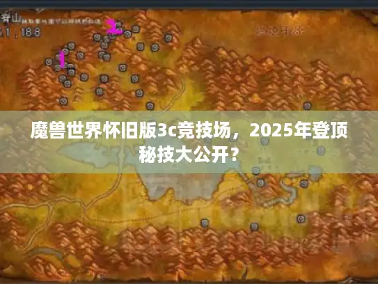 魔兽世界怀旧版3c竞技场，2025年登顶秘技大公开？
