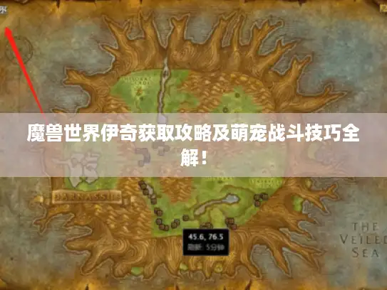 魔兽世界伊奇获取攻略及萌宠战斗技巧全解! 魔兽世界伊奇获取攻略及萌宠战斗技巧全解!