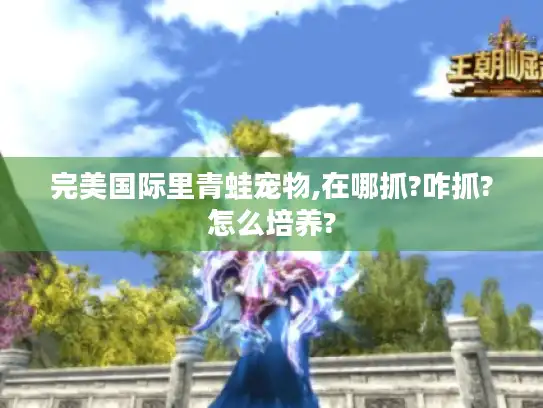 完美国际里青蛙宠物,在哪抓?咋抓?怎么培养?