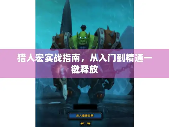 猎人宏实战指南，从入门到精通一键释放