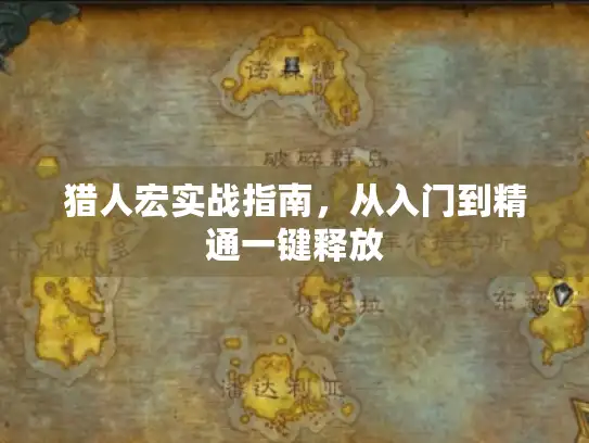 猎人宏实战指南，从入门到精通一键释放