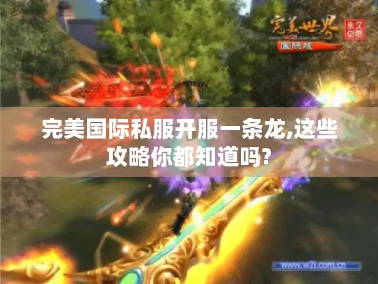 完美国际私服开服一条龙,这些攻略你都知道吗? 完美国际私服开服一条龙,这些攻略你都知道吗?