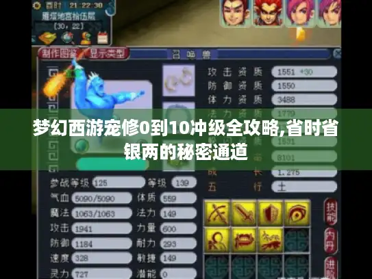 梦幻西游宠修0到10冲级全攻略,省时省银两的秘密通道