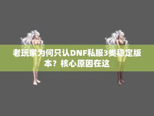 老玩家为何只认DNF私服3类稳定版本？核心原因在这