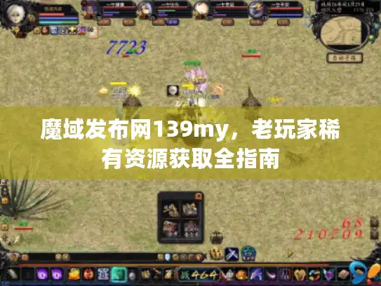魔域发布网139my，老玩家稀有资源获取全指南