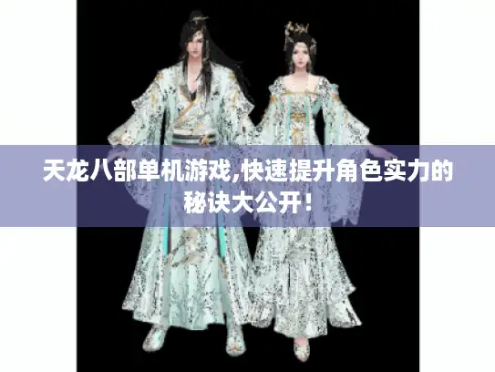 天龙八部单机游戏,快速提升角色实力的秘诀大公开！