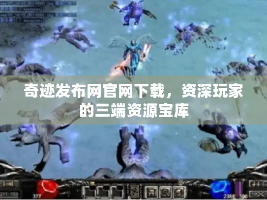 奇迹发布网官网下载，资深玩家的三端资源宝库