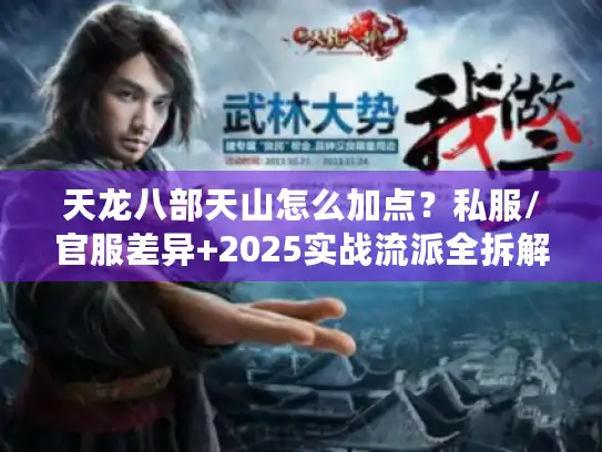 天龙八部天山怎么加点？私服/官服差异+2025实战流派全拆解