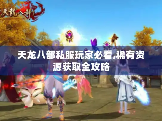 天龙八部私服玩家必看,稀有资源获取全攻略