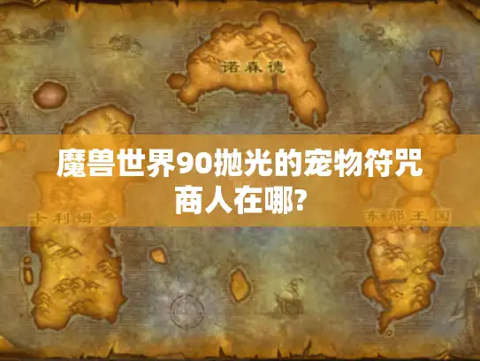 魔兽世界90抛光的宠物符咒商人在哪?