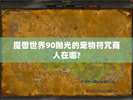 魔兽世界90抛光的宠物符咒商人在哪?
