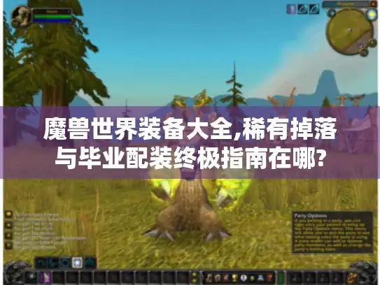 魔兽世界装备大全,稀有掉落与毕业配装终极指南在哪?