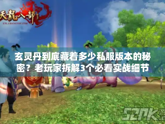 玄灵丹到底藏着多少私服版本的秘密？老玩家拆解3个必看实战细节
