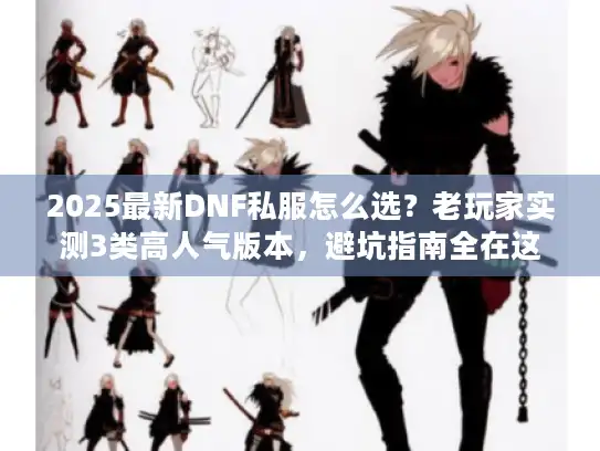 2025最新DNF私服怎么选?老玩家实测3类高人气版本,避坑指南全在这 2025最新DNF私服怎么选?老玩家实测3类高人气版本,避坑指南全在这