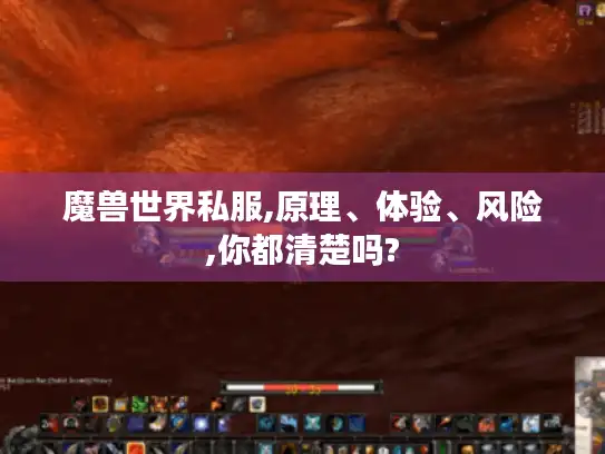魔兽世界私服,原理、体验、风险,你都清楚吗?