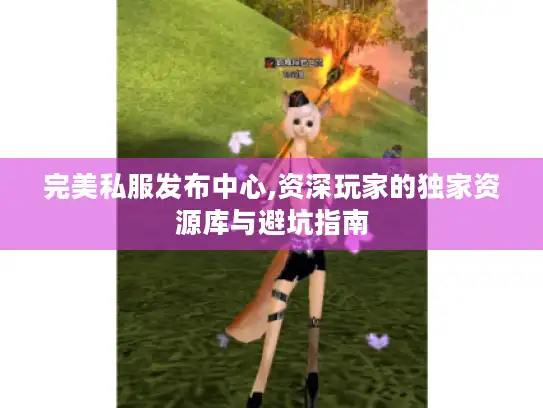 完美私服发布中心,资深玩家的独家资源库与避坑指南 完美私服发布中心,资深玩家的独家资源库与避坑指南