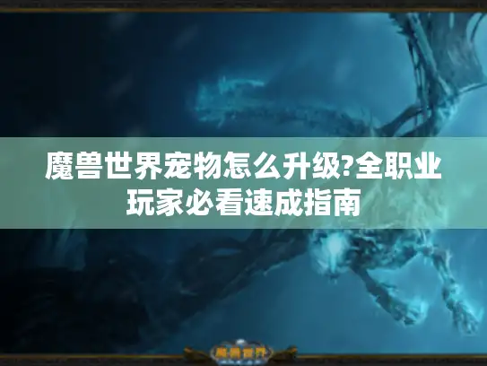 魔兽世界宠物怎么升级?全职业玩家必看速成指南