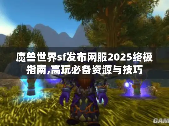魔兽世界sf发布网服2025终极指南,高玩必备资源与技巧 魔兽世界sf发布网服2025终极指南,高玩必备资源与技巧