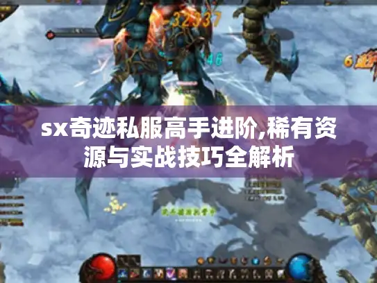 sx奇迹私服高手进阶,稀有资源与实战技巧全解析