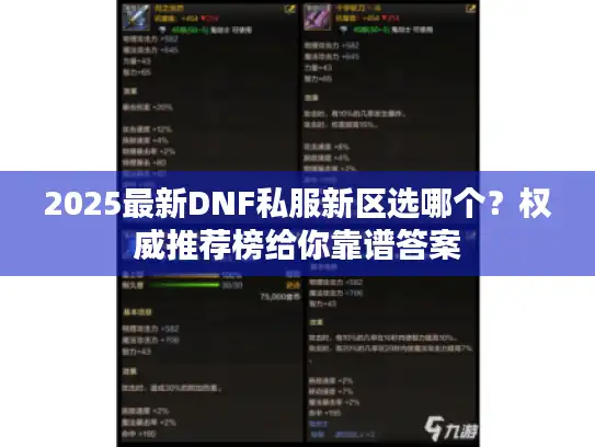 2025最新DNF私服新区选哪个?权威推荐榜给你靠谱答案 2025最新DNF私服新区选哪个?权威推荐榜给你靠谱答案