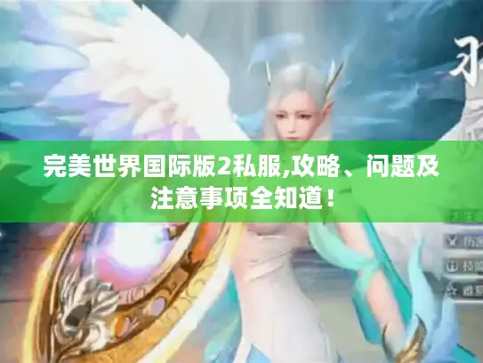 完美世界国际版2私服,攻略、问题及注意事项全知道！