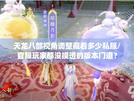 天龙八部视角调整藏着多少私服/官服玩家都没摸透的版本门道？