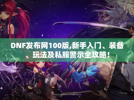 DNF发布网100版,新手入门、装备、玩法及私服警示全攻略！