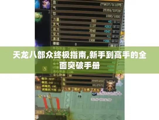 天龙八部众终极指南,新手到高手的全面突破手册