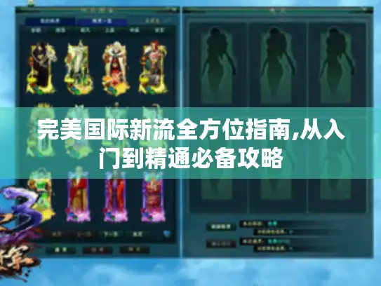完美国际新流全方位指南,从入门到精通必备攻略