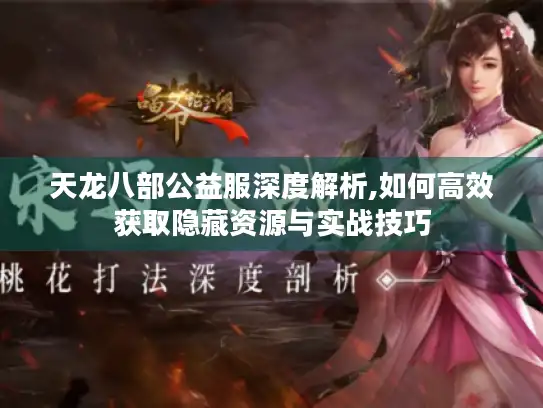 天龙八部公益服深度解析,如何高效获取隐藏资源与实战技巧