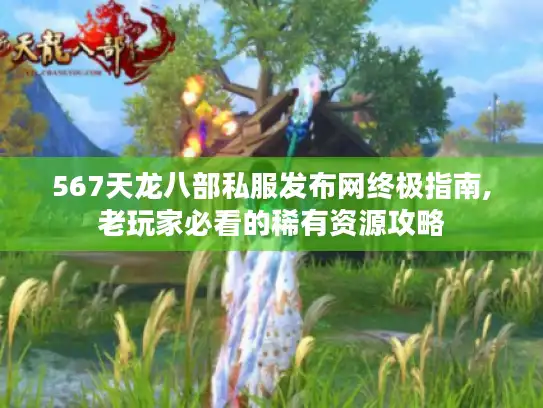 567天龙八部私服发布网终极指南,老玩家必看的稀有资源攻略