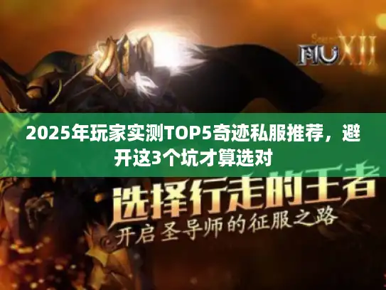 2025年玩家实测TOP5奇迹私服推荐，避开这3个坑才算选对
