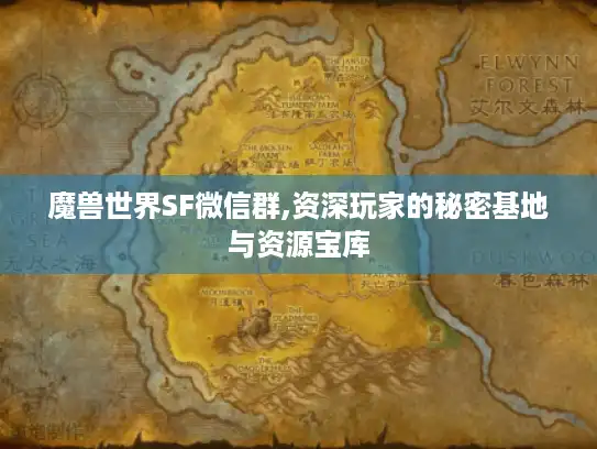 魔兽世界SF微信群,资深玩家的秘密基地与资源宝库 魔兽世界SF微信群,资深玩家的秘密基地与资源宝库