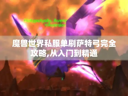 魔兽世界私服单刷萨特弓完全攻略,从入门到精通