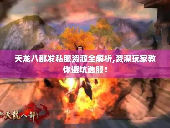 天龙八部发私服资源全解析,资深玩家教你避坑选服！