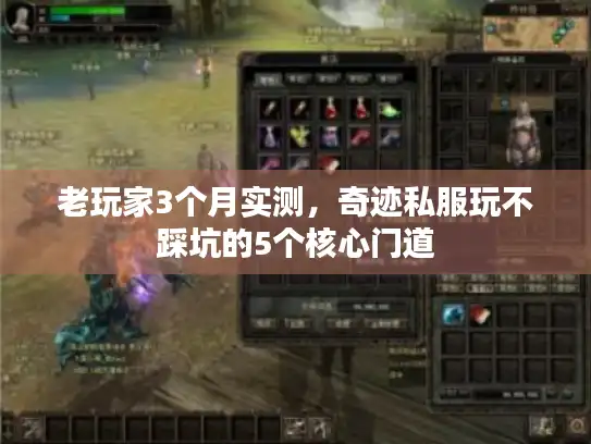 老玩家3个月实测，奇迹私服玩不踩坑的5个核心门道