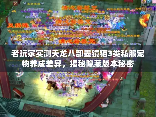 老玩家实测天龙八部墨镜猫3类私服宠物养成差异，揭秘隐藏版本秘密