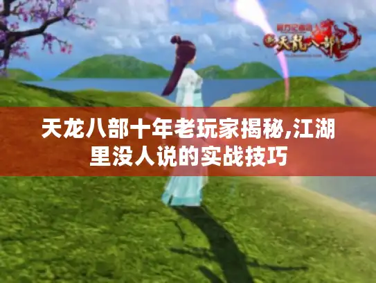 天龙八部十年老玩家揭秘,江湖里没人说的实战技巧