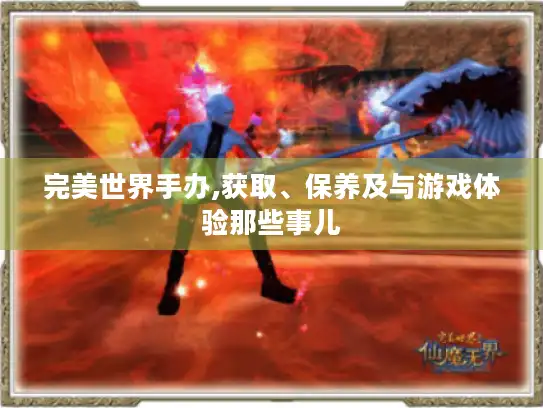 完美世界手办,获取、保养及与游戏体验那些事儿